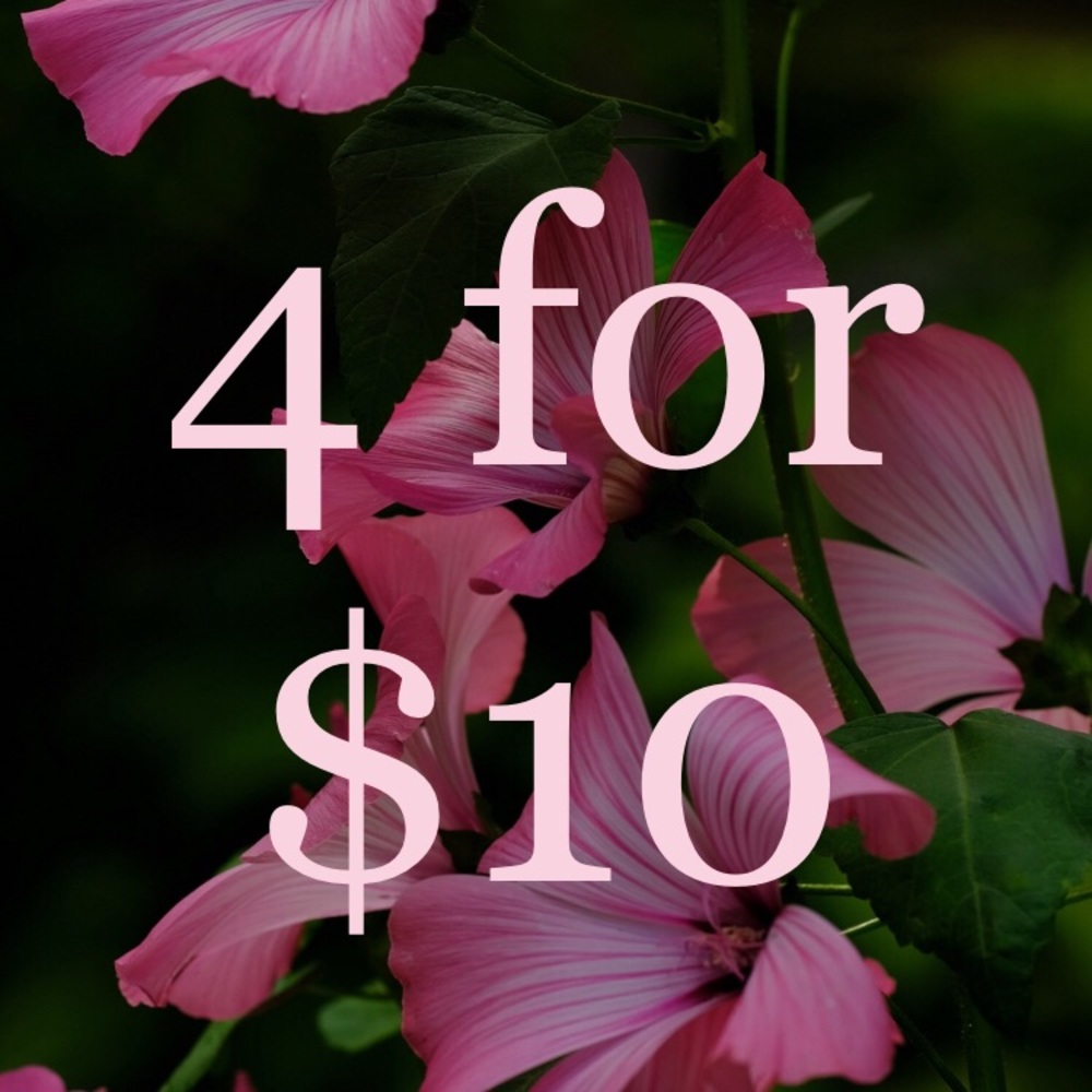 4/$10 Sale!